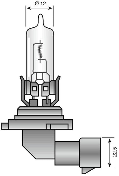 Spahn koplamp gloeilamp headlight bulb 12v 65w hb3 p20d