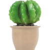 Egmont lamp cactus in bloempot 27x16,5