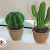 Egmont lamp cactus in bloempot 27x16,5