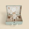 Knuffel leonie de giraf cadeaudoos