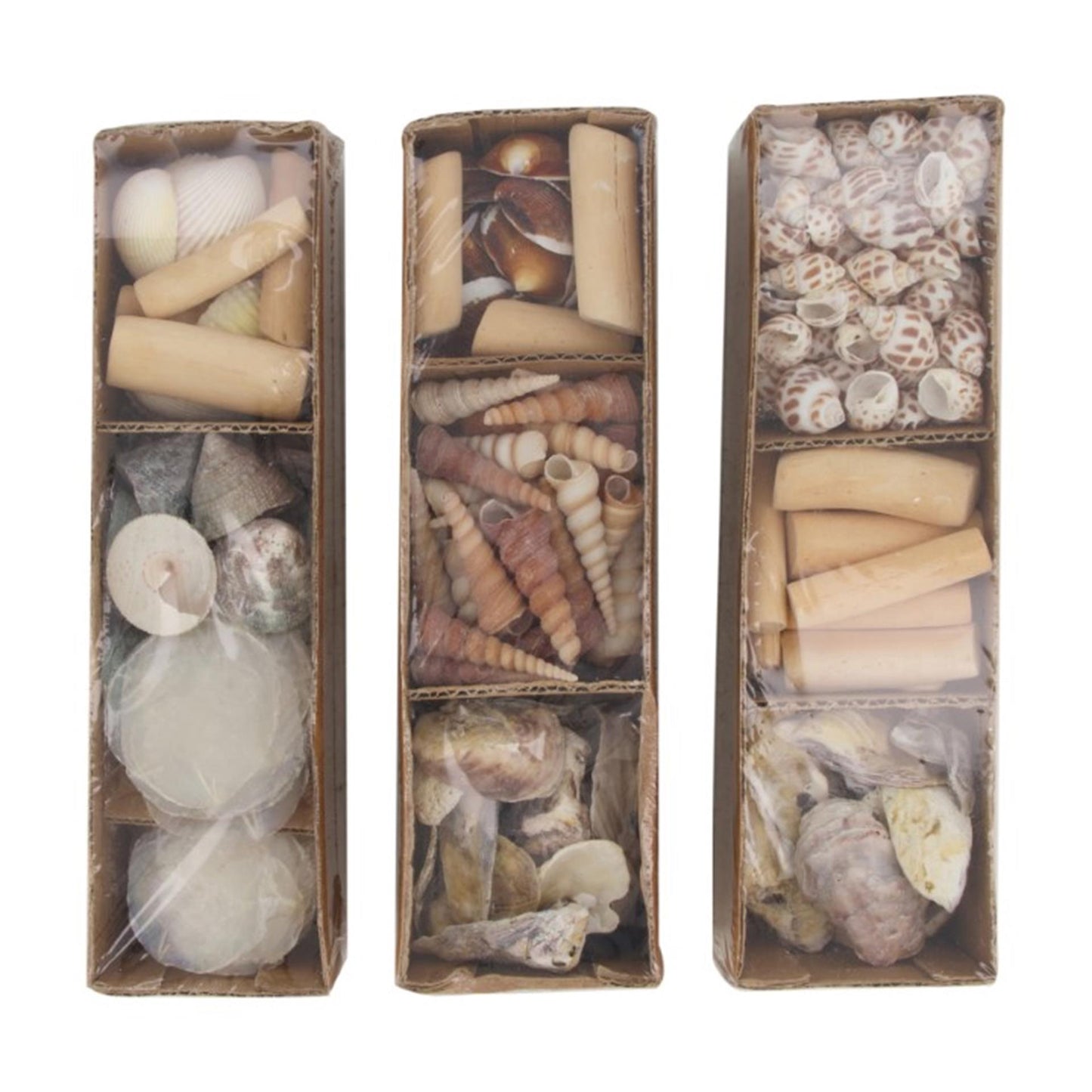 Dijk natural collections schelpen in tray 28x8x8cm
