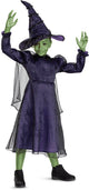 Disguise wicked (nbc universal), elphaba deluxe, maat xs (3t-4t jaar), meisjes