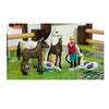 Eichhorn boerderij incl. dieren en accessoires