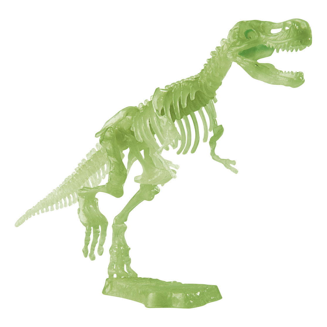 Glow in the Dark T-Rex Opgravingsset