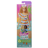 Barbie poppenassortiment | 6 stuks