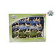 Kids globe koeien zwart wit liggend en staand 12stuks 1:32