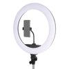 Studioking led ringlamp set 65w lr-650
