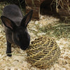 Happy pet speelbal wilg