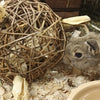 Nature first happy pet speelbal wilg