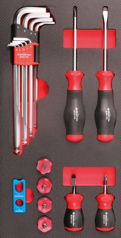 Bikeservice moduleinlage schraubendreher winkelschlüssel moduleinl bst handwrkz 18tlg