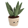 Pluchiez pluche plantjes 3 assorti | 3 stuks