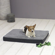 Sun garden buddy orthopedisch hondenkussen 72x50x8cm grijs antraciet - afbeelding 1