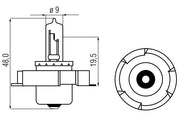 Bosma Lamp 6V-15W P26S halogeen - afbeelding 1