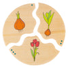 Beleduc nawito natuur evolutie houten kinderspel