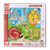 Hape magnetisch insecten doolhof