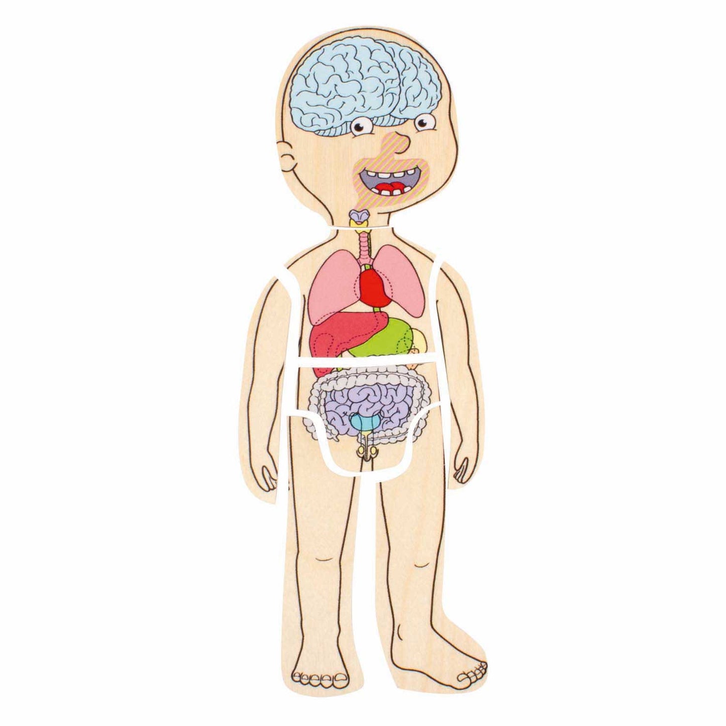 Beleduc houten lagenpuzzel jongen - 5 lagen