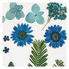 Creativ company gedroogde bloemen en bladeren blauw, 19dlg.
