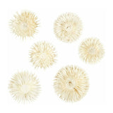 Creativ company https: www.cchobby.nl gedroogde-bloemen-d-3-5-cm-6-stuk-1-doos - afbeelding 1