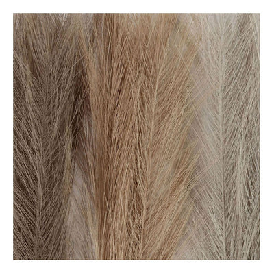 Creativ company pampasgras, l: 50 cm, licht beige, lichtbruin, lichtgrijs, 3 stuk 1 bol