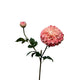 Roberts collection kunstbloem dahlia spray 74cm parel