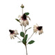 Roberts collection kunstbloem rudbeckia 83cm creme