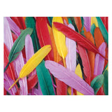 Colorations - gekleurde eendenveren, 28,5 gram - afbeelding 2