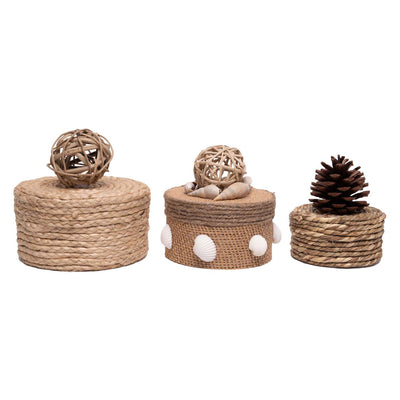 Colorations - papier-mache dozen rond, 3st.