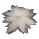 Magnolia bladskeletten, 50st.