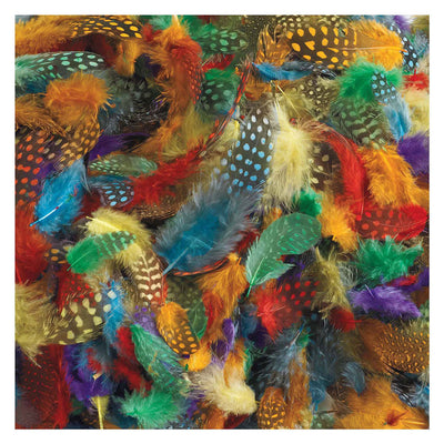 Colorations - gevlekte veren, 30 gram