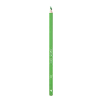 Bruynzeel • super kleurpotloden lichtgroen 12pcs