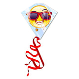 Kites ready 2 fly - vlieger emoji - afbeelding 1