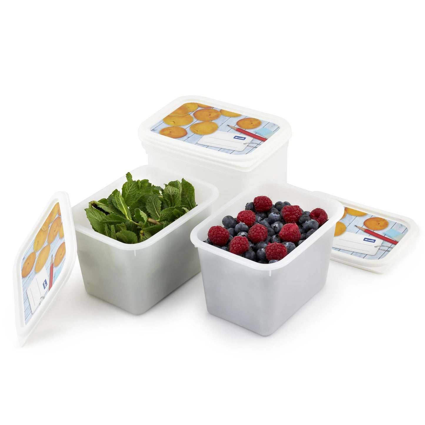 Rotho domino diepvriesdozenset 4-delig 1l etiket decor beschrijfbaar