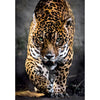 Ty clementoni puzzel 1000 stuks jaguar compact | 2 stuks