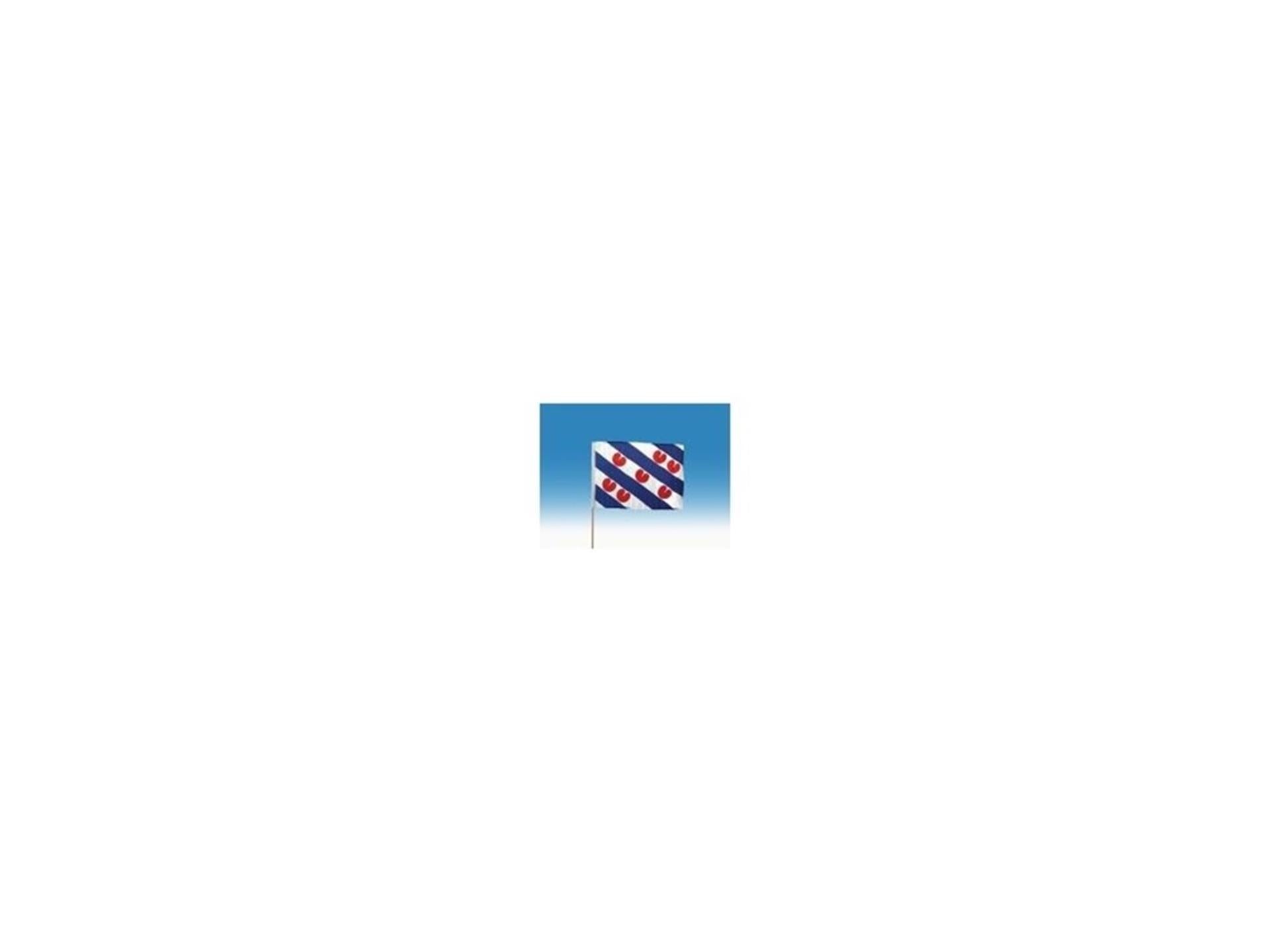 Zwaaivlag friesland groot 50x70cm + stok