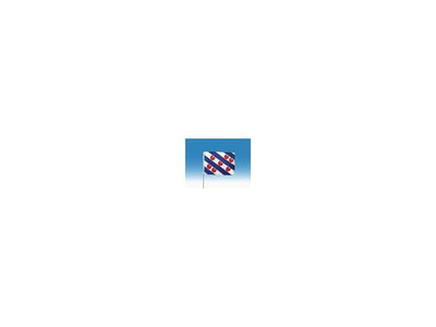 Zwaaivlag friesland groot 50x70cm + stok