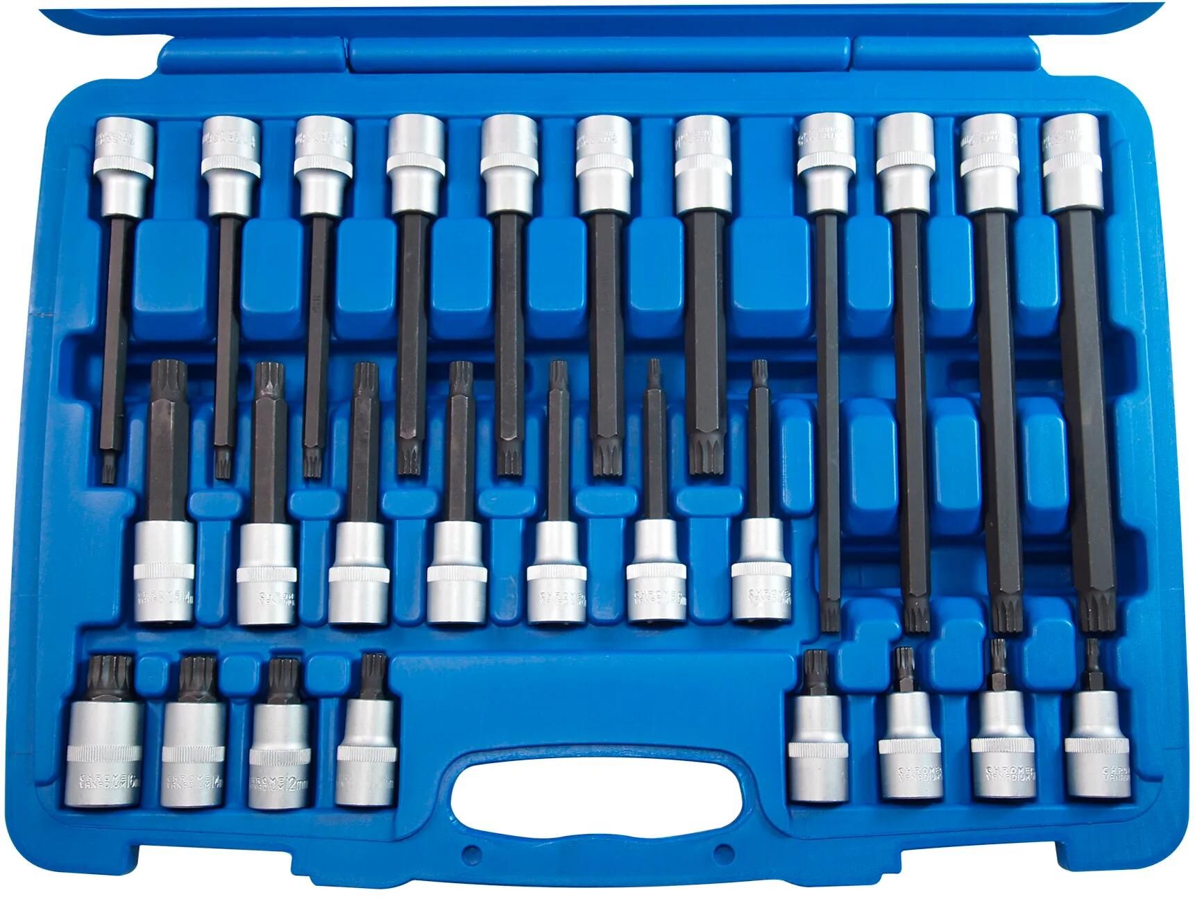 Sw stahl dopsleutel set 04424l screwdriver bit 1 2 sw-steel internal multipo