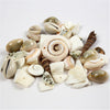 Https: www.cchobby.nl strand-schelpen-kralen-afm-9-40-mm-gatgrootte-1-1-5-mm-120-gr-1-doos