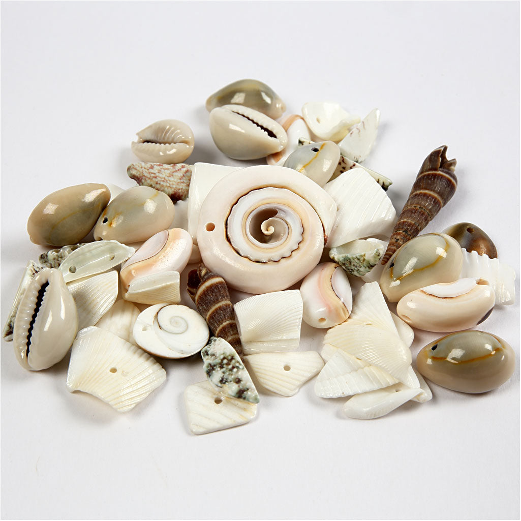 Https: www.cchobby.nl strand-schelpen-kralen-afm-9-40-mm-gatgrootte-1-1-5-mm-120-gr-1-doos