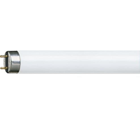 Philips tl buis 8w 33-640 mini koel wit | 25 stuks