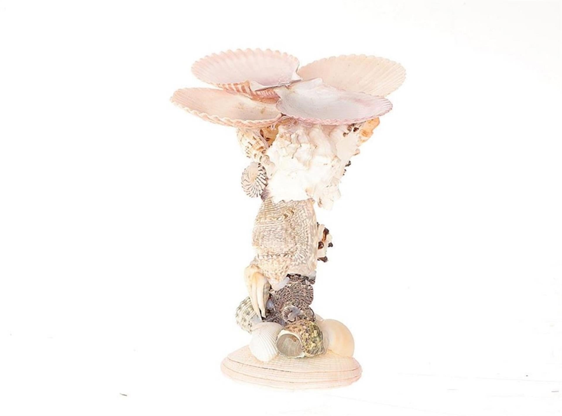 Hbx natural living kandelaarmet schelpen dia15,5x16cm