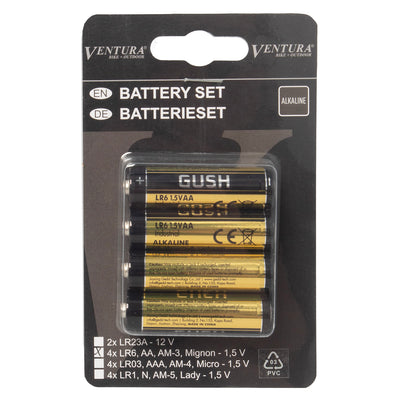 Ventura aa battery