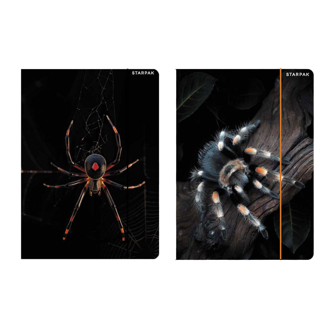 Map met elastiek a4 spin