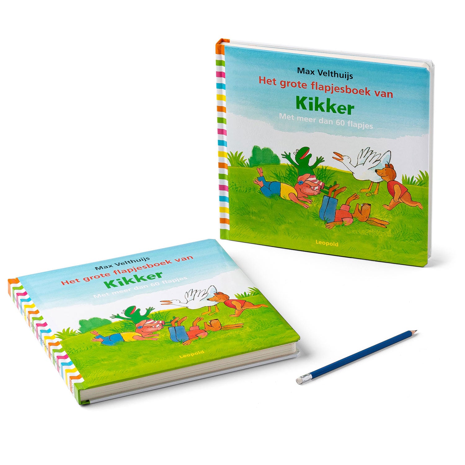 Wpg uitgevers het grote flapjesboek van kikker. 2+