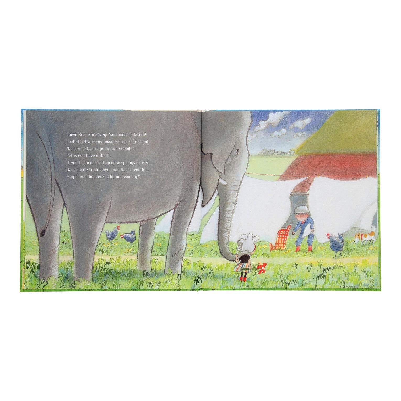 Gottmer uitgevers groep boer boris en de olifant. 2+
