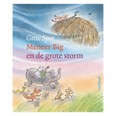 Wpg uitgevers meneer big en de grote storm. 4+