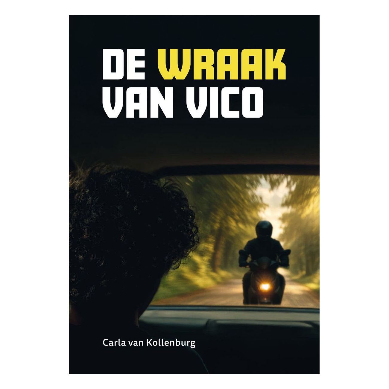 Wpg uitgevers de wraak van vico - avi e5
