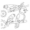 Kleurboek - birds nieuw