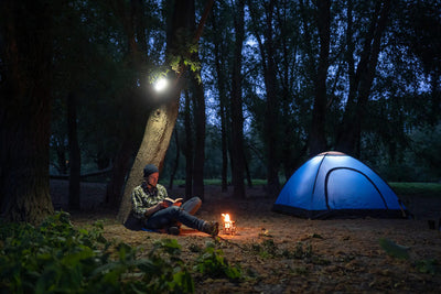 Hazet handlampe 1979n-92 led slim light cable .