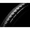 Goodyear - xplr inter tlr 700x50c transparant