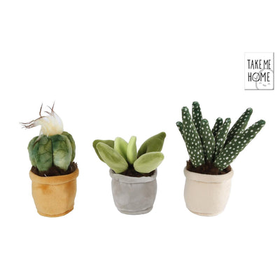 Take me home plant pluche s 12-17cm
